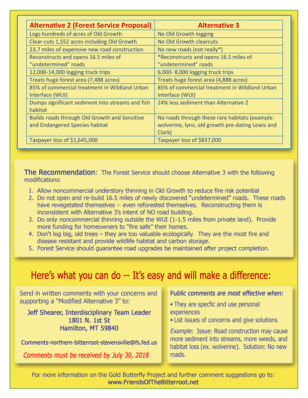 Gold Butterfly Flyer, 72 Gold Butterfly Flyer, 72
