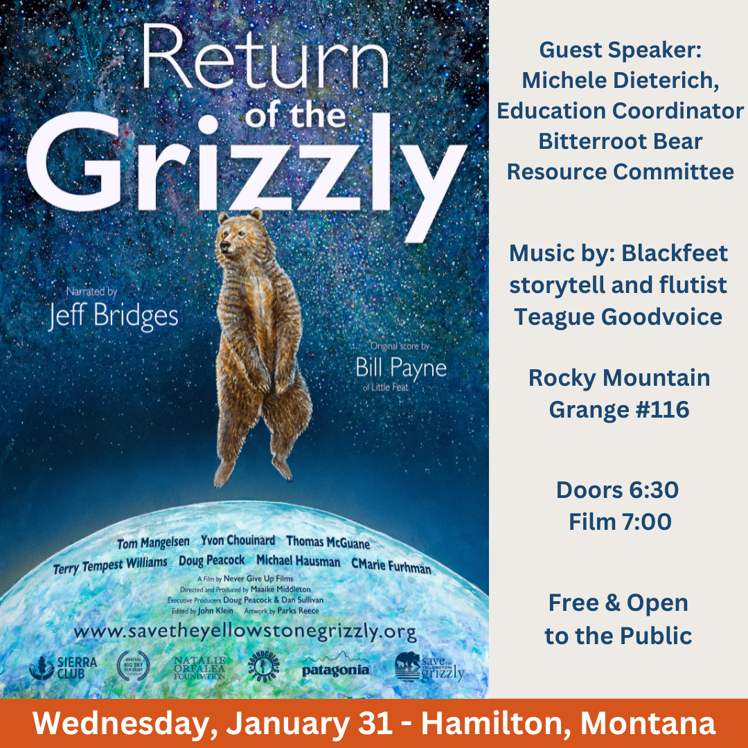 Return of the Grizzly Poster Jan 31, 2024 at 6:30 pm